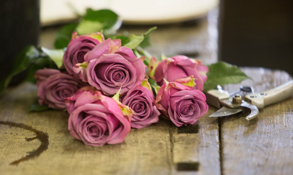 Vorbereitung der Trauerfloristik mit Rosen und Rosenschere auf dem Tisch